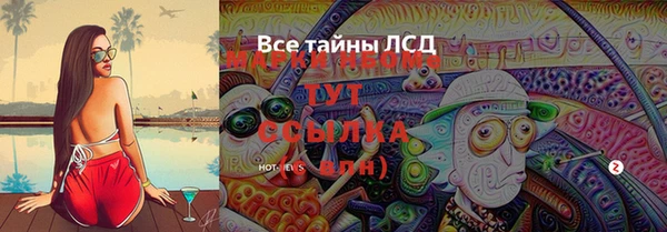 экстази Арсеньев