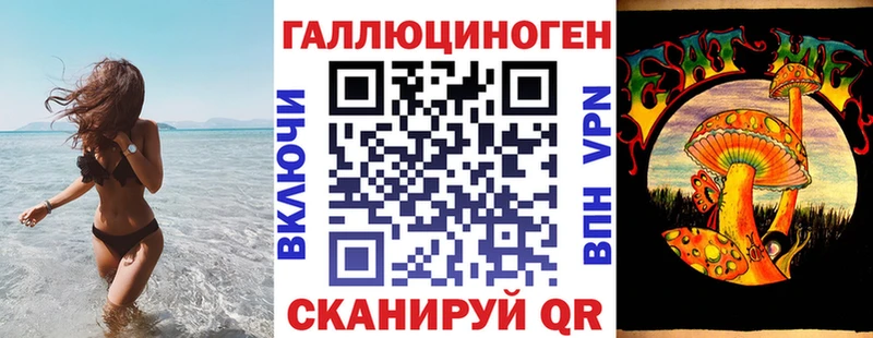 купить наркоту  Снежногорск  МЕГА ONION  Псилоцибиновые грибы мицелий 